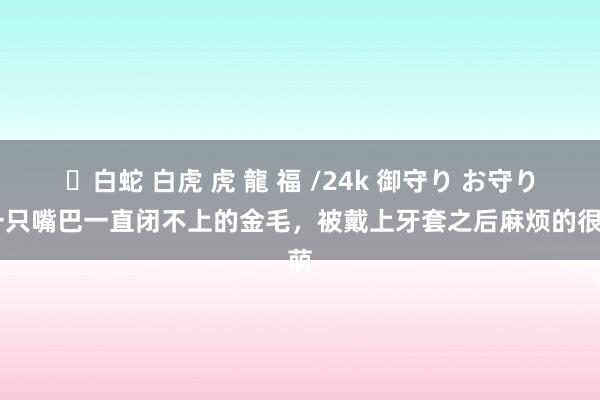 ✨白蛇 白虎 虎 龍 福 /24k 御守り お守り 一只嘴巴一直闭不上的金毛，被戴上牙套之后麻烦的很萌