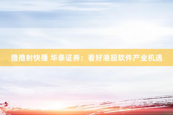 撸撸射快播 华泰证券：看好港股软件产业机遇