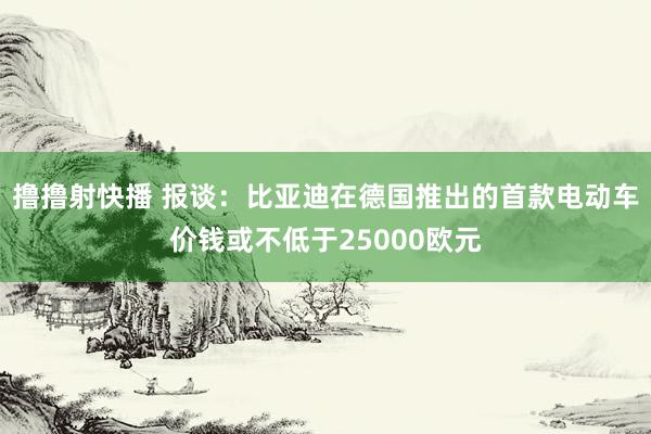 撸撸射快播 报谈:比亚迪在德国推出的首款电动车价钱或不低于25000欧元