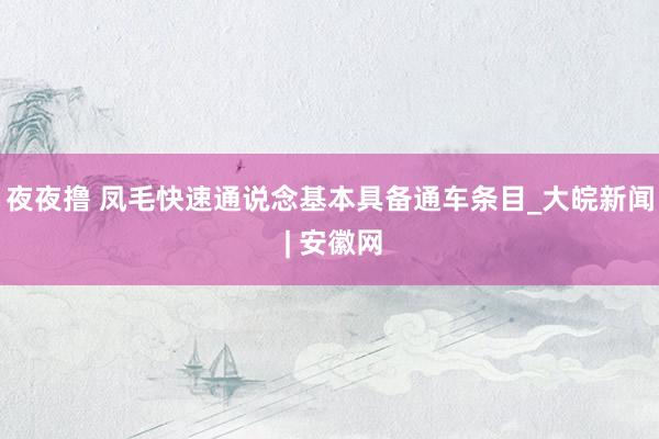 夜夜撸 凤毛快速通说念基本具备通车条目_大皖新闻 | 安徽网