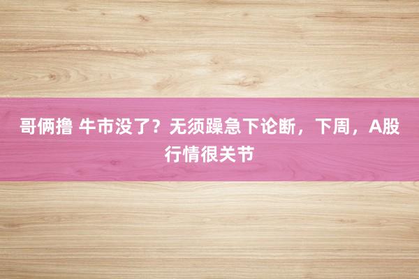 哥俩撸 牛市没了？无须躁急下论断，下周，A股行情很关节