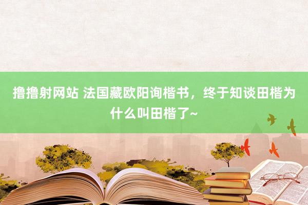 撸撸射网站 法国藏欧阳询楷书，终于知谈田楷为什么叫田楷了~