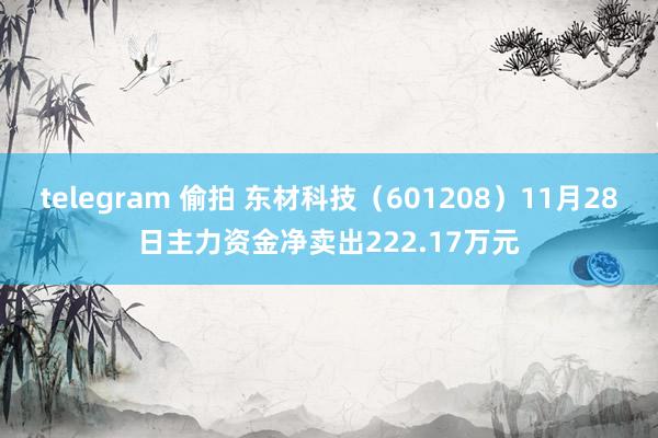 telegram 偷拍 东材科技（601208）11月28日主力资金净卖出222.17万元