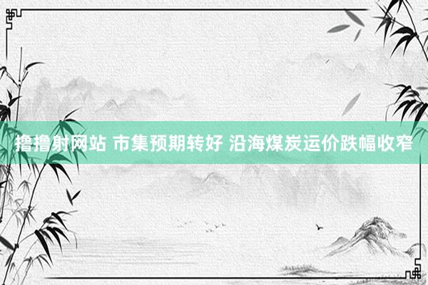 撸撸射网站 市集预期转好 沿海煤炭运价跌幅收窄