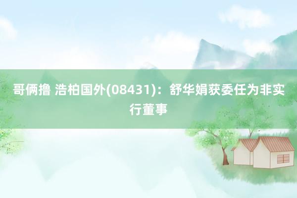 哥俩撸 浩柏国外(08431)：舒华娟获委任为非实行董事
