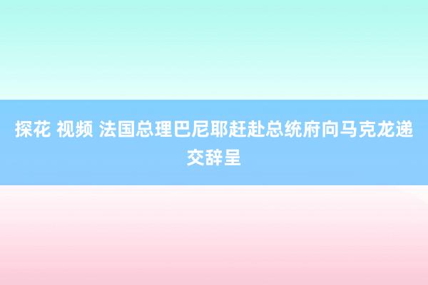 探花 视频 法国总理巴尼耶赶赴总统府向马克龙递交辞呈