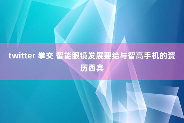 twitter 拳交 智能眼镜发展要给与智高手机的资历西宾