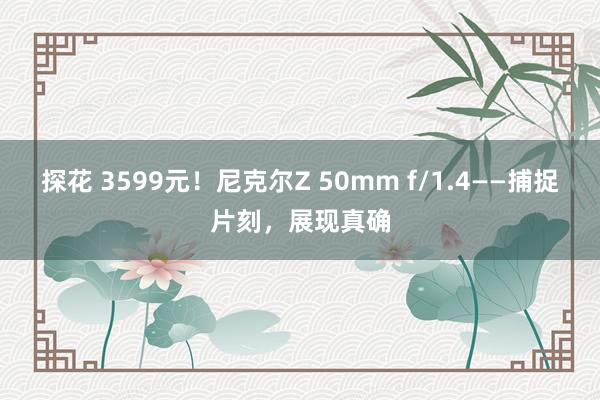 探花 3599元！尼克尔Z 50mm f/1.4——捕捉片刻，展现真确