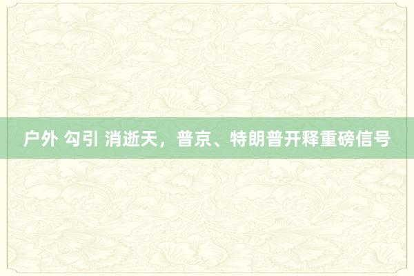 户外 勾引 消逝天，普京、特朗普开释重磅信号