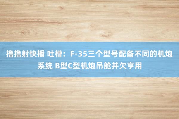 撸撸射快播 吐槽：F-35三个型号配备不同的机炮系统 B型C型机炮吊舱并欠亨用