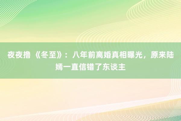夜夜撸 《冬至》：八年前离婚真相曝光，原来陆嫣一直信错了东谈主