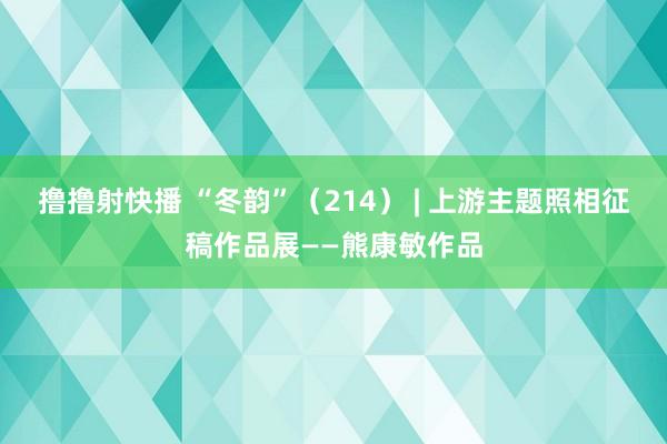 撸撸射快播 “冬韵”（214） | 上游主题照相征稿作品展——熊康敏作品