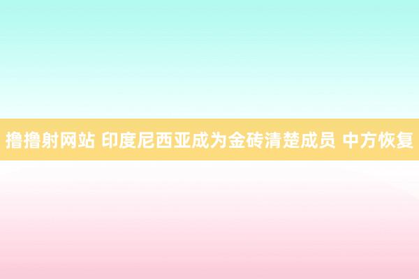 撸撸射网站 印度尼西亚成为金砖清楚成员 中方恢复