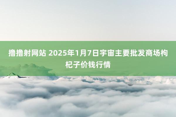 撸撸射网站 2025年1月7日宇宙主要批发商场枸杞子价钱行情