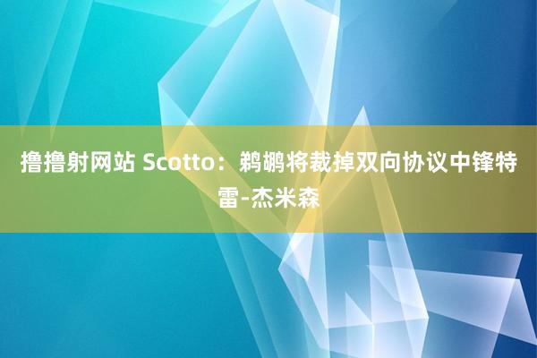 撸撸射网站 Scotto：鹈鹕将裁掉双向协议中锋特雷-杰米森