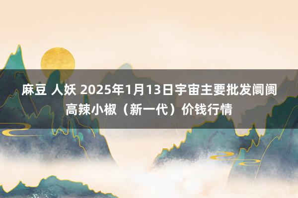 麻豆 人妖 2025年1月13日宇宙主要批发阛阓高辣小椒（新一代）价钱行情