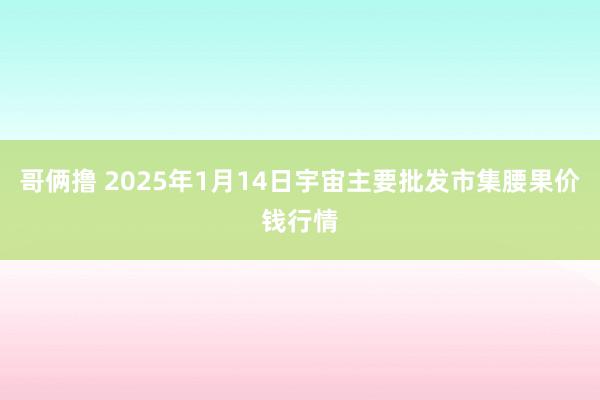 哥俩撸 2025年1月14日宇宙主要批发市集腰果价钱行情