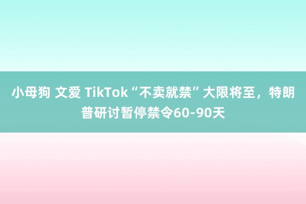小母狗 文爱 TikTok“不卖就禁”大限将至，特朗普研讨暂停禁令60-90天