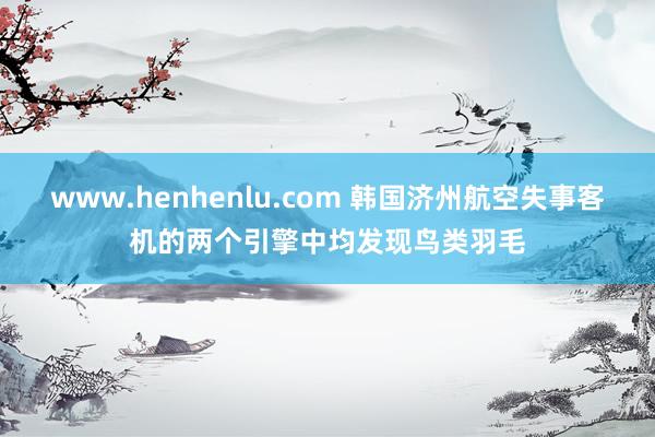 www.henhenlu.com 韩国济州航空失事客机的两个引擎中均发现鸟类羽毛