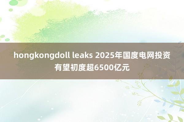 hongkongdoll leaks 2025年国度电网投资有望初度超6500亿元