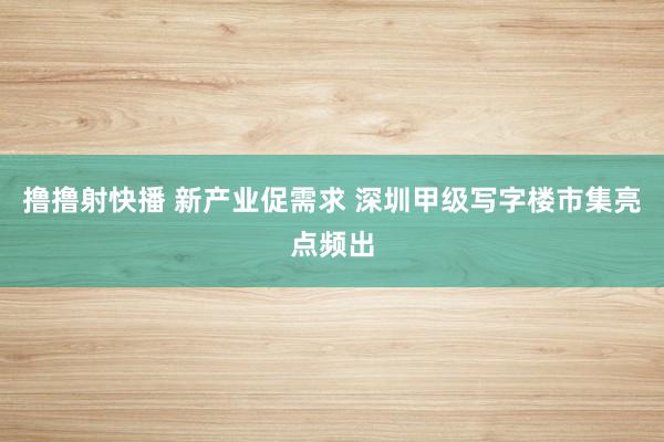 撸撸射快播 新产业促需求 深圳甲级写字楼市集亮点频出