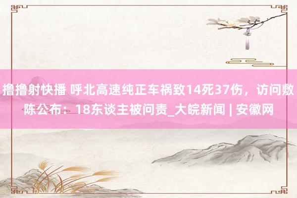 撸撸射快播 呼北高速纯正车祸致14死37伤，访问敷陈公布：18东谈主被问责_大皖新闻 | 安徽网