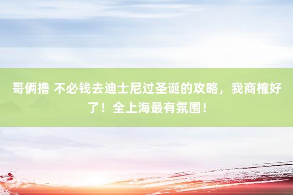 哥俩撸 不必钱去迪士尼过圣诞的攻略，我商榷好了！全上海最有氛围！