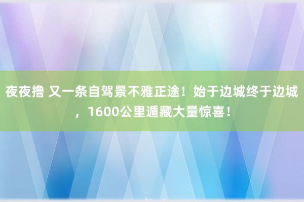 夜夜撸 又一条自驾景不雅正途！始于边城终于边城，1600公里遁藏大量惊喜！