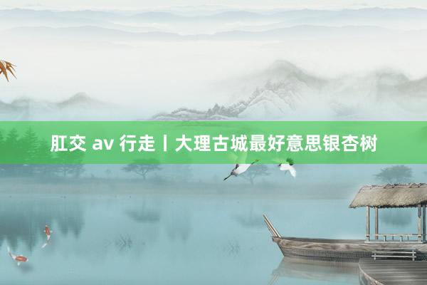 肛交 av 行走丨大理古城最好意思银杏树