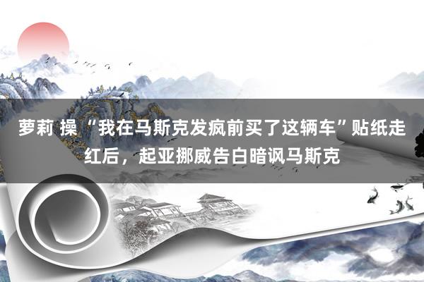 萝莉 操 “我在马斯克发疯前买了这辆车”贴纸走红后，起亚挪威告白暗讽马斯克