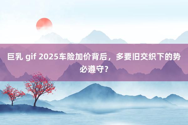 巨乳 gif 2025车险加价背后，多要旧交织下的势必遵守？
