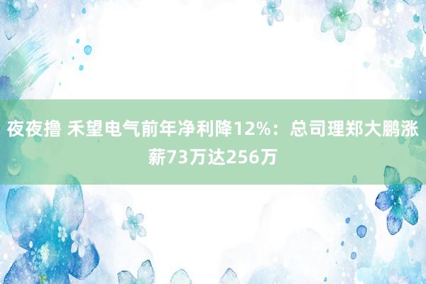 夜夜撸 禾望电气前年净利降12%：总司理郑大鹏涨薪73万达256万