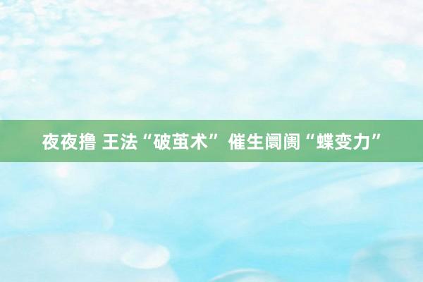 夜夜撸 王法“破茧术” 催生阛阓“蝶变力”