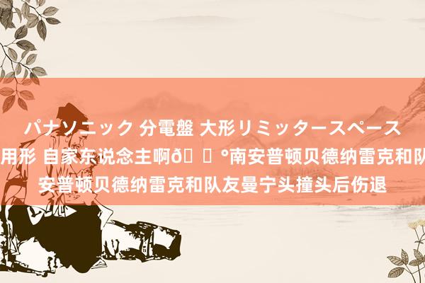 パナソニック 分電盤 大形リミッタースペースなし 露出・半埋込両用形 自家东说念主啊😰南安普顿贝德纳雷克和队友曼宁头撞头后伤退