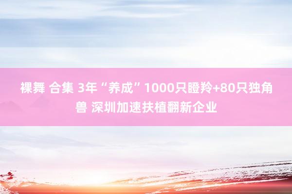 裸舞 合集 3年“养成”1000只瞪羚+80只独角兽 深圳加速扶植翻新企业