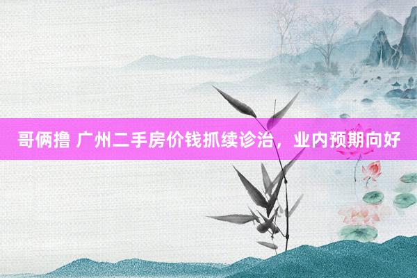 哥俩撸 广州二手房价钱抓续诊治，业内预期向好