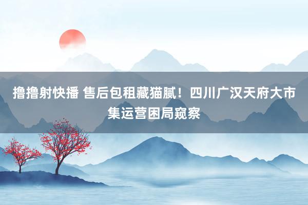 撸撸射快播 售后包租藏猫腻！四川广汉天府大市集运营困局窥察