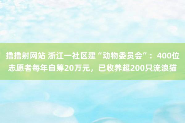 撸撸射网站 浙江一社区建“动物委员会”：400位志愿者每年自筹20万元，已收养超200只流浪猫