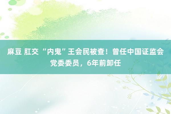 麻豆 肛交 “内鬼”王会民被查！曾任中国证监会党委委员，6年前卸任