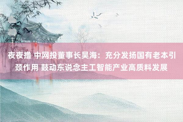 夜夜撸 中网投董事长吴海：充分发扬国有老本引颈作用 鼓动东说念主工智能产业高质料发展