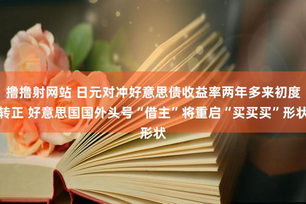 撸撸射网站 日元对冲好意思债收益率两年多来初度转正 好意思国国外头号“借主”将重启“买买买”形状