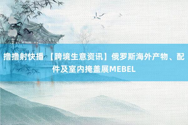 撸撸射快播 【跨境生意资讯】俄罗斯海外产物、配件及室内掩盖展MEBEL