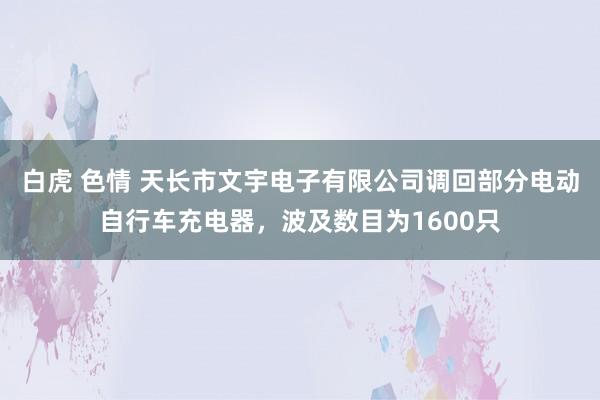 白虎 色情 天长市文宇电子有限公司调回部分电动自行车充电器，波及数目为1600只