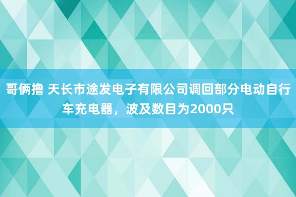 哥俩撸 天长市途发电子有限公司调回部分电动自行车充电器，波及数目为2000只