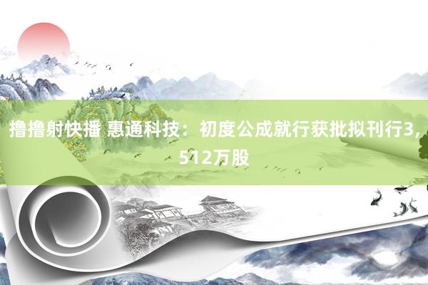 撸撸射快播 惠通科技：初度公成就行获批拟刊行3，512万股