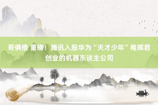 哥俩撸 重磅！腾讯入股华为“天才少年”稚晖君创业的机器东谈主公司