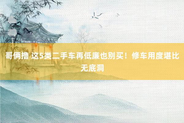 哥俩撸 这5类二手车再低廉也别买！修车用度堪比无底洞