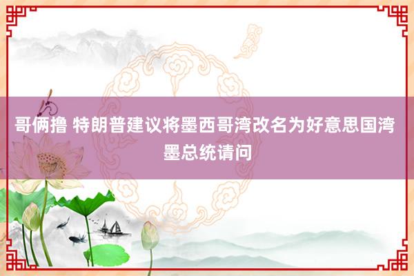 哥俩撸 特朗普建议将墨西哥湾改名为好意思国湾 墨总统请问