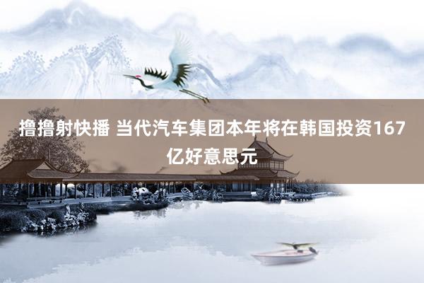 撸撸射快播 当代汽车集团本年将在韩国投资167亿好意思元
