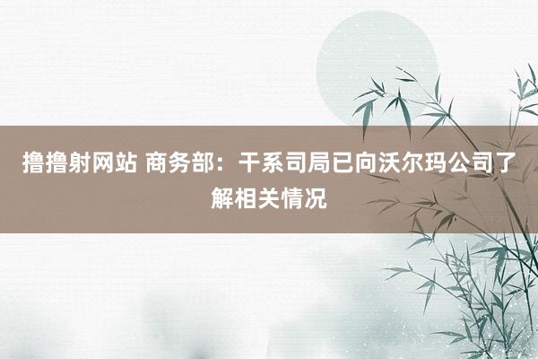 撸撸射网站 商务部：干系司局已向沃尔玛公司了解相关情况